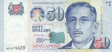sdg是新加坡币