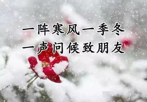 无限暖暖愿愿纷飞是什么,愿愿纷飞介绍