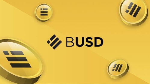 BUSD币的日常应用和使用场景是什么？