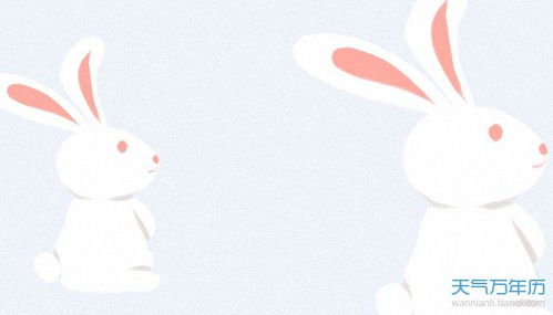 兔和龙夫妻能到老吗 兔和龙合不合做夫妻