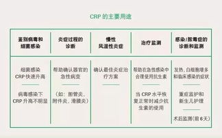 CRP币的安全性和风险评估是怎样的？