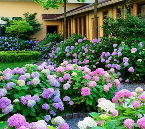 无限暖暖花箱和花圃怎么做,花箱和花圃任务完成方法