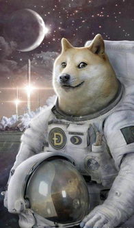 狗狗币（Dogecoin）全面指南与市场概况