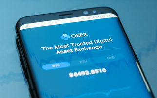 OKEX数字货币杠杆怎么玩