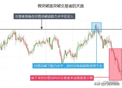 加密市场新星：五大代币闪耀时刻