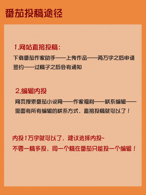 番茄小说到底适不适合新人 