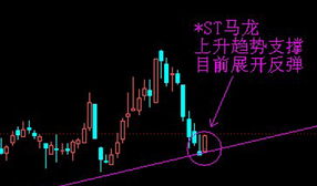 （股票）谁能为我解释分析下ST马龙 的08年历史暴跌