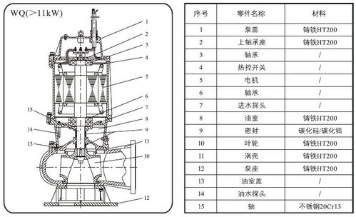 污水厂调试方案范文  排污提升泵安装施工方案？