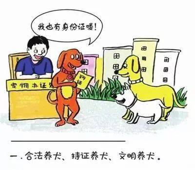 创城进行时 文明养犬看这里