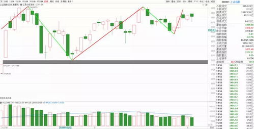 2022创业板龙头股十大成长股名单，创业板是什么意思开户条件