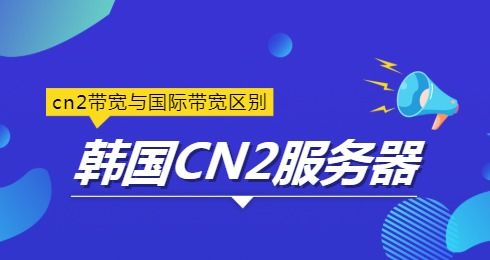 cn2美国服务器哪家比较便宜,带宽大呢 (国外服务器哪个便宜又好用的)