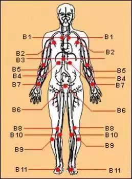最全人体穴道图,有空自己捏捏吧,心肝脾肺肾都畅通了 主治 
