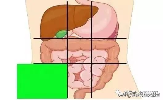 一张腹部地图,告诉你腹部疼痛对应哪个器官,终身有益