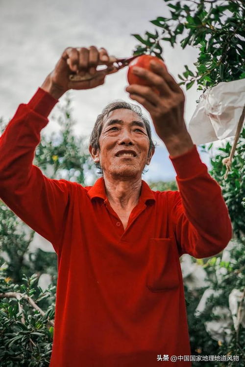 大西南的大山里,藏着多少秘密