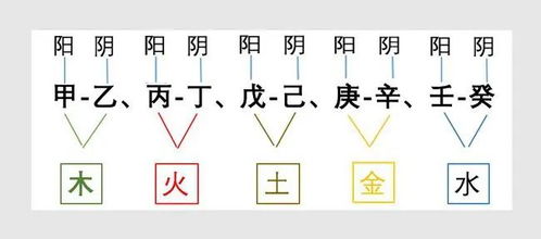 分字五行属什么,怎样判断一个字的五行