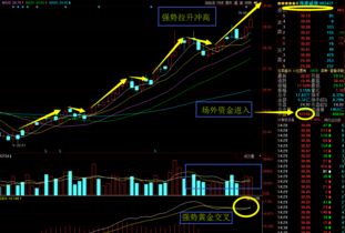 在股票中什么是 短期回档？