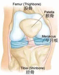 崔芳医师团队 半月板损伤的康复治疗