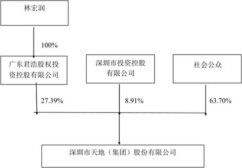 金力泰妻子把股权转让给丈夫有何用意