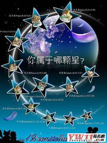 12星座之最 