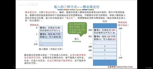 棕榈树种子种植方法