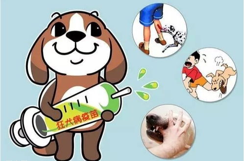 城市里是不是狂犬病已经基本灭绝了