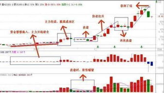 一位山东操盘手酒后泄露鲜为人知的跟庄技巧,散户一旦掌握,将稳赚不亏 