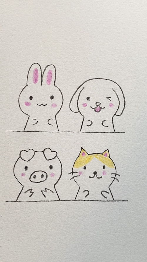 小动物画法 