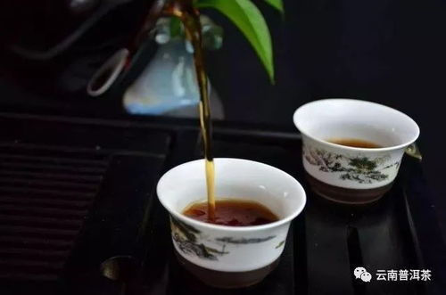 茶桌上常见的几种失礼的行为,茶品见人品