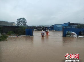 云南澜沧突降大暴雨致多地被淹人员被困消防及时救援