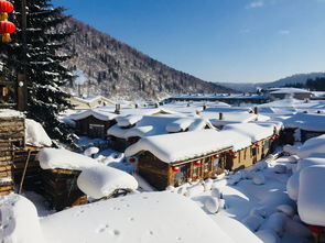 哈尔滨雪乡旅游攻略三天 (哈尔滨雪乡旅行攻略)