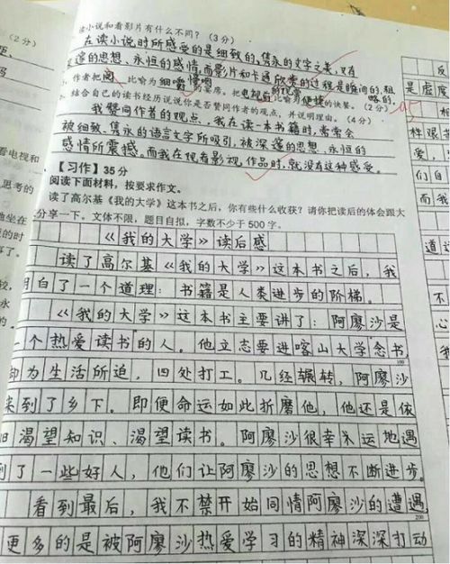 语文作文高考核心模板范文  家长小学语文试卷分析怎么写？