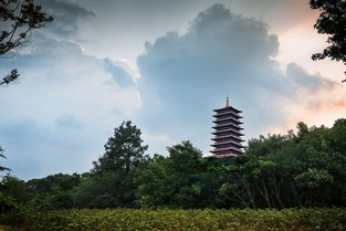 牛首山停车方便吗(牛首山免费停车场)