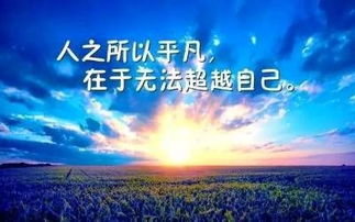 带有梦字的励志诗句大全  做个好梦的诗句？