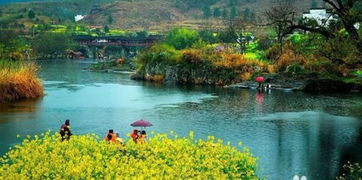 四月份适合去哪里旅游 赏花季节感受春天的勃勃生机