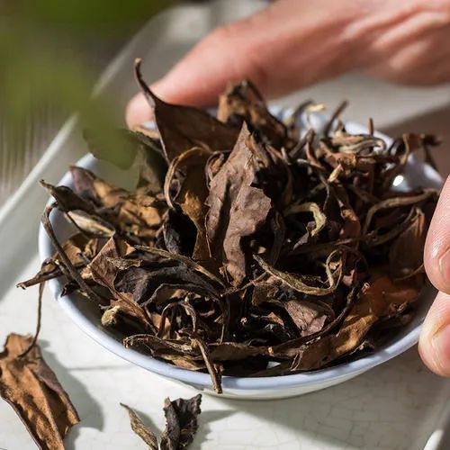 白茶怎么煮效果最好,焖白茶的正确方法？