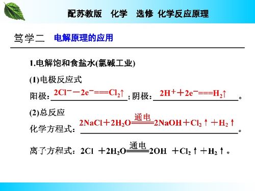 专题1化学反应中的能量变化 第2单元 化学能与电能的转化 第3课时电解池的工作原理及应用 