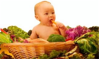 饮食健康安全 如何才能吃到比较放心的蔬菜
