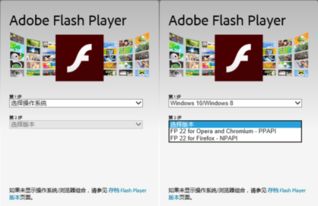 win10flashplayer安装失败