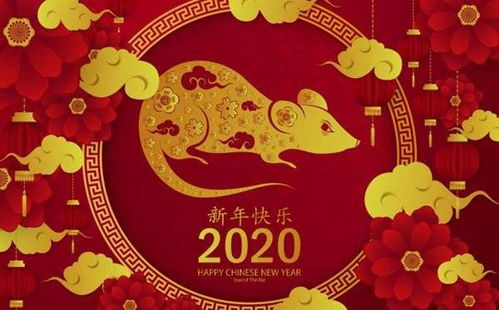 生肖鼠2020年运势大揭秘,太岁之年做事需谨慎