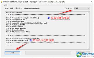 有产品id如何激活win10