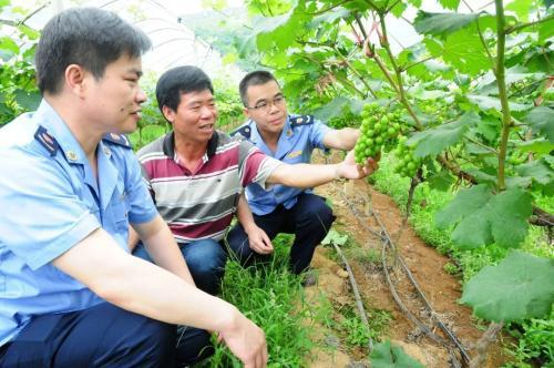 农民专业合作社出资总额怎么算？