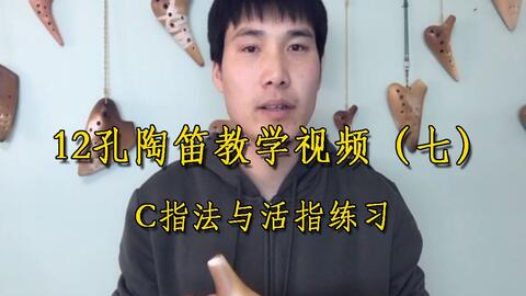 陶笛苍海一声笑 12孔视频6指法教程 陶笛教程六孔 陶笛季尧的小说