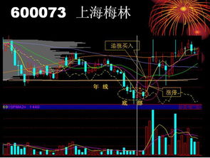 请问《追涨十法》动漫片第八集的三外有三的解释是什么？