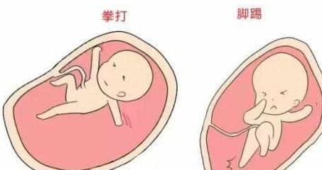 原来打胎的时候胎宝宝是这种感觉,看完你还敢做人流吗