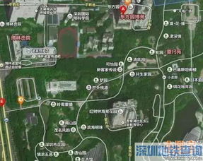 2022深圳南山哪里可以免费停车(深圳市内哪里有免费停车场)