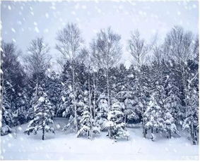 描写下雨或下雪的情景