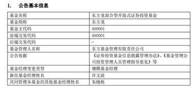 请问东方龙这只基金怎样?