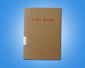 档案漂亮边框怎么弄好看，word怎么做牛皮档案盒脊(档案边框简笔画)