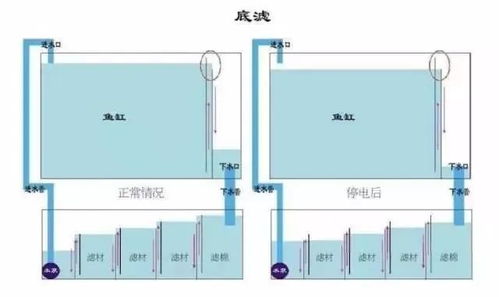 鱼缸过滤系统到底怎么玩