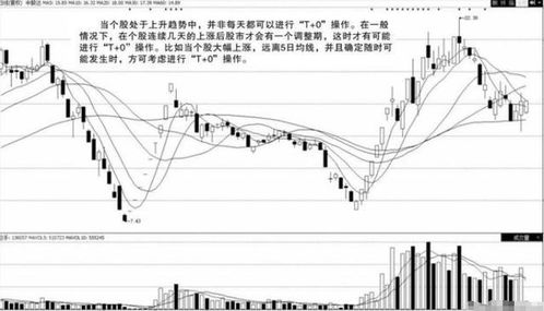 股市中t+0操作的成本和利润的计算法